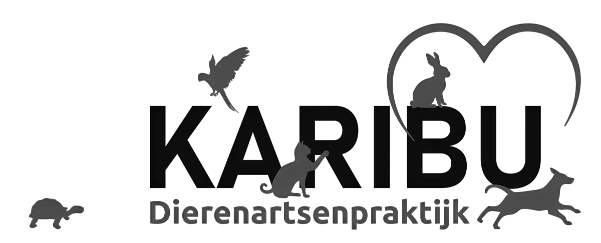 Karibu